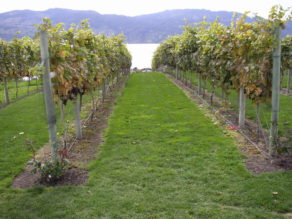 Kelowna Mission Hill