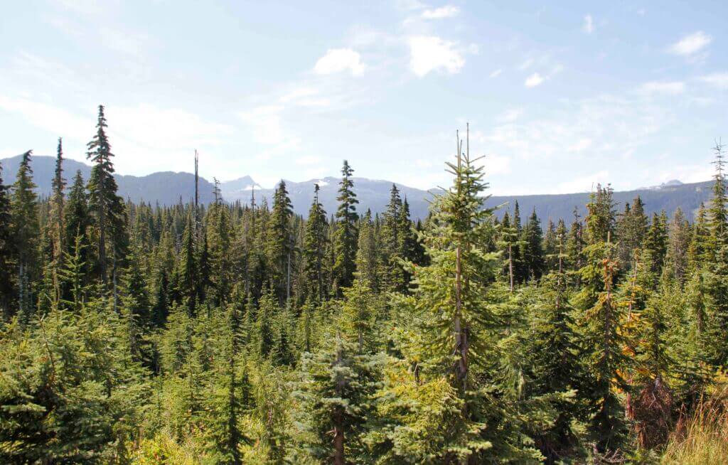 Strathcona Park