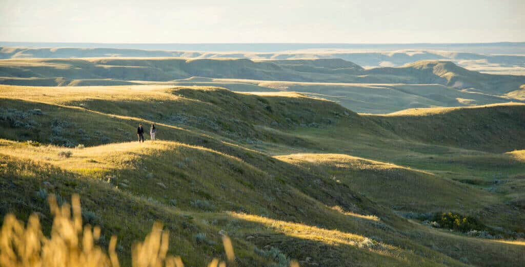Grasslands National Park
