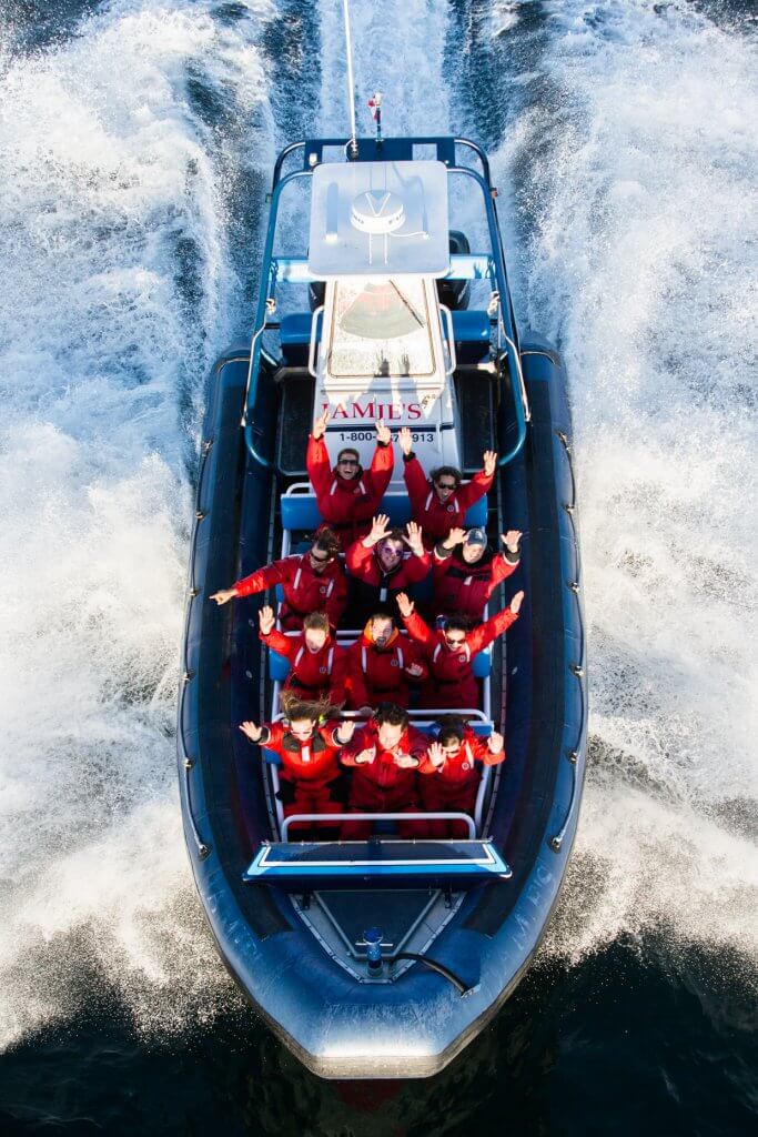 Ucluelet Whalewatching