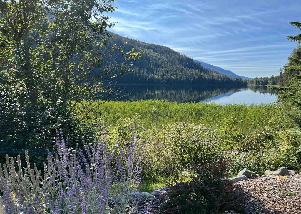 Alpine Meadows Resort