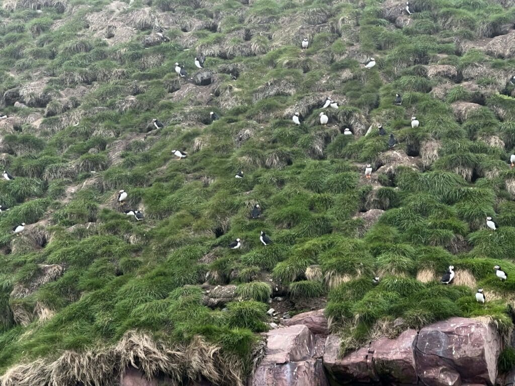 Witless Bay Ecological Resort