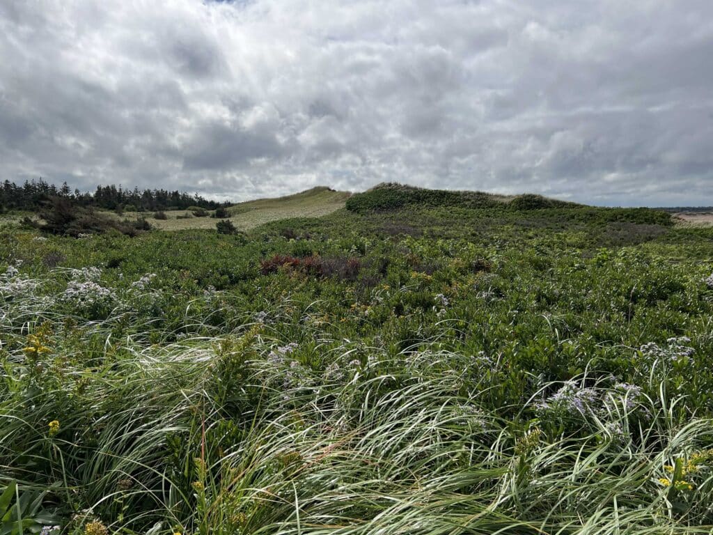 Prince Edward Island National Park