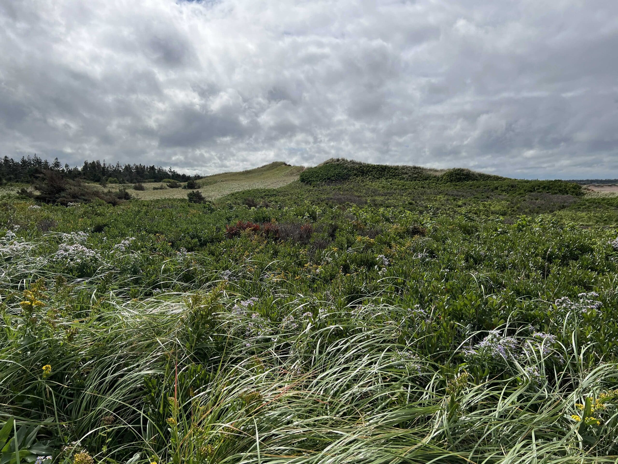 Prince Edward Island National Park