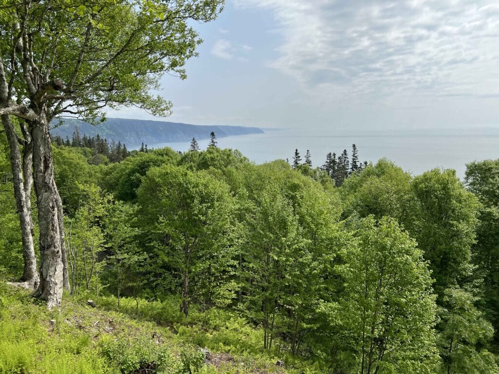 Fundy Trail Provicial Park