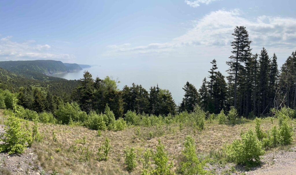 Fundy Trail Provincial Park