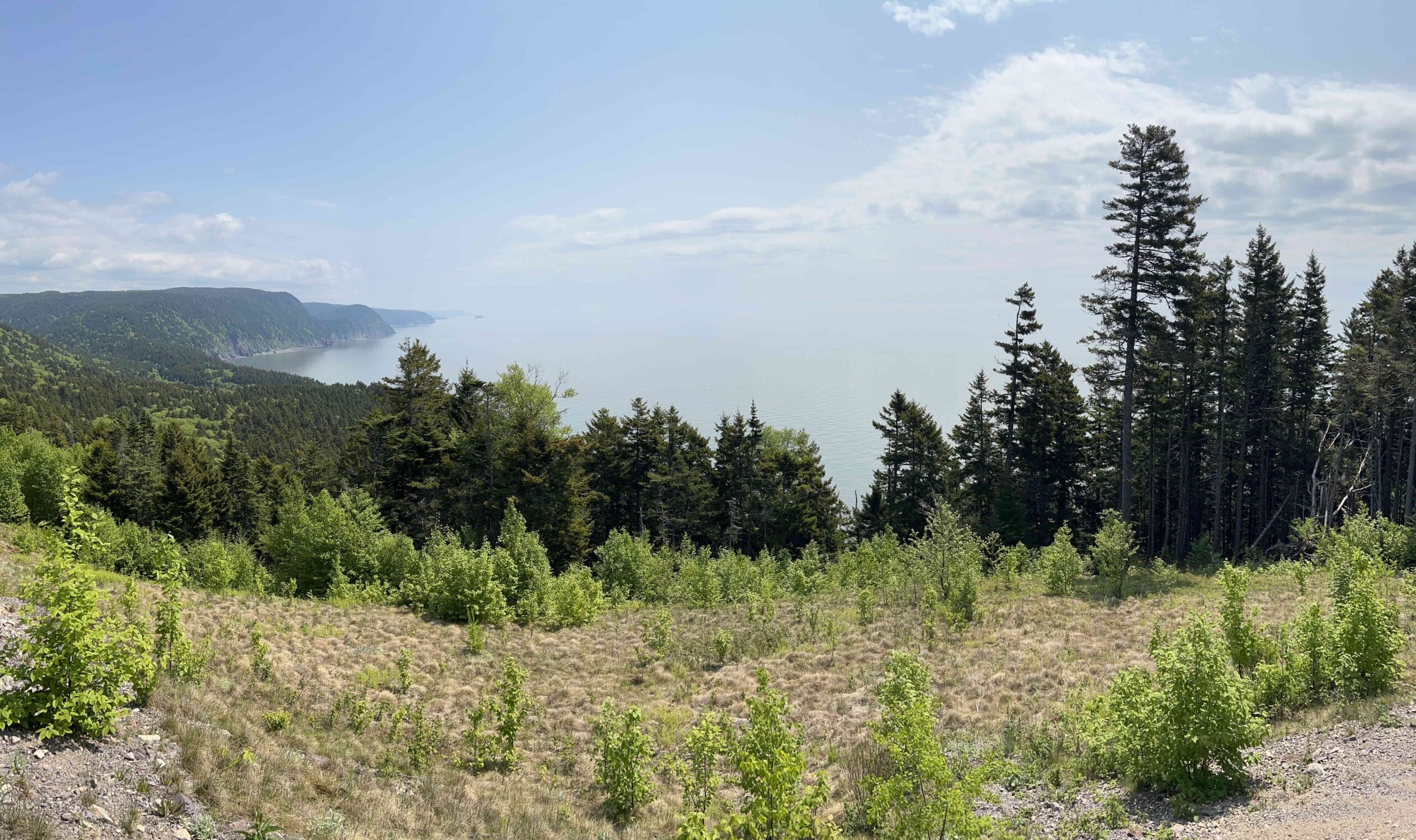 Fundy Trail Provincial Park