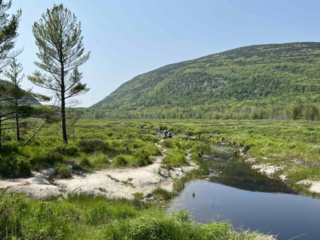 Acadia National Park