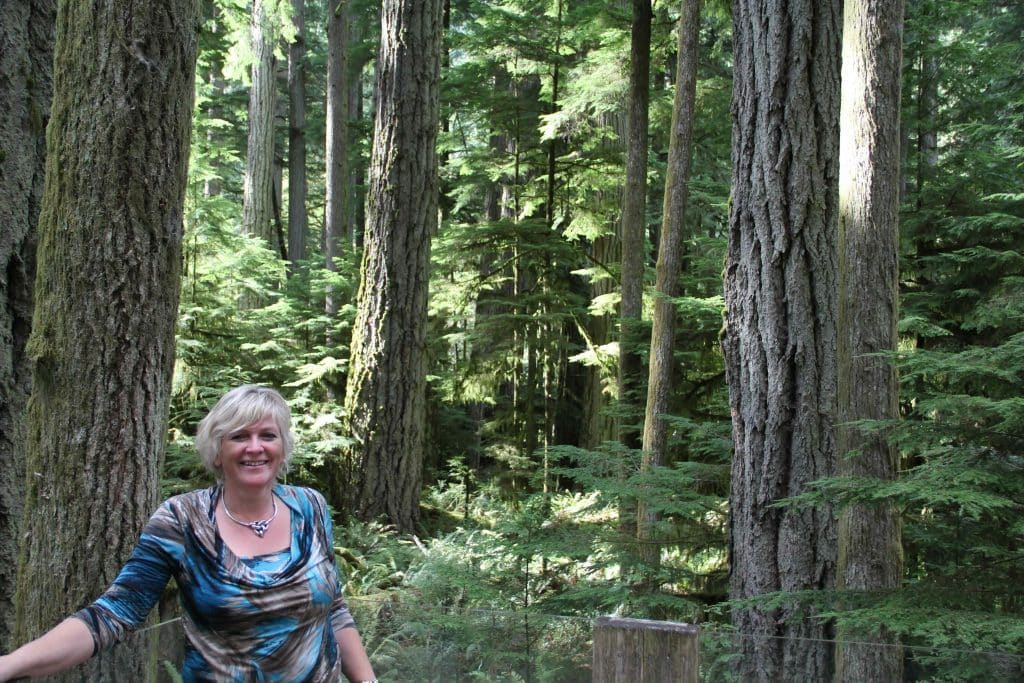Cathedral Grove