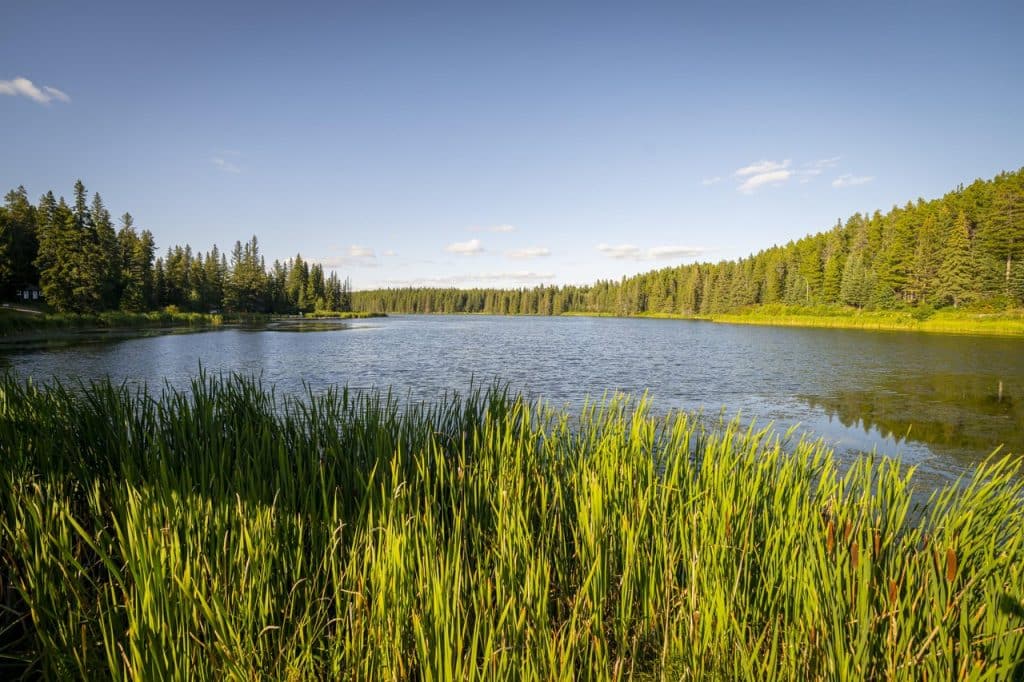 Cypress Hills Interprovincial Park - Saskatchewan Photo credit: Tourism Saskatchewan:Chris Hendrickson Photography