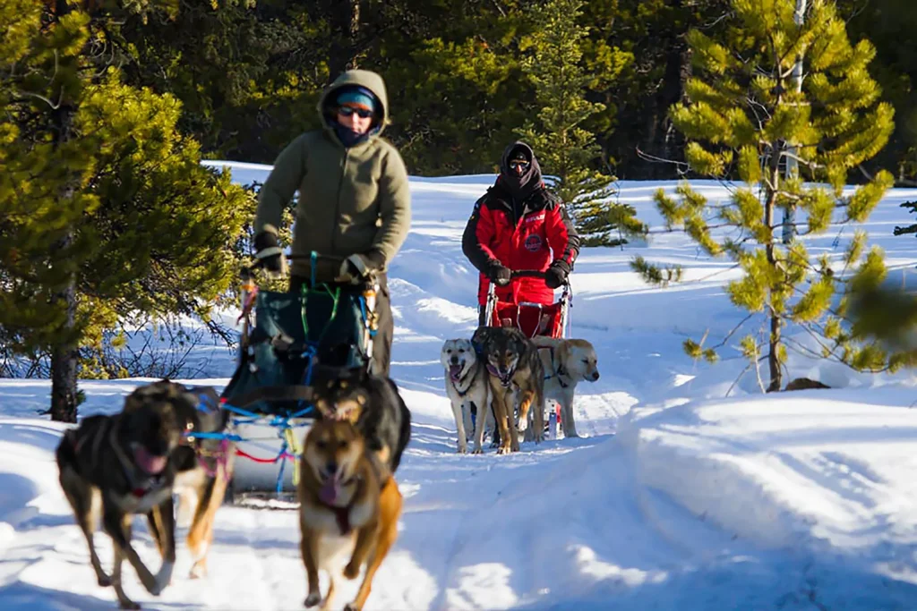 Southern Lakes Resort dogsledding