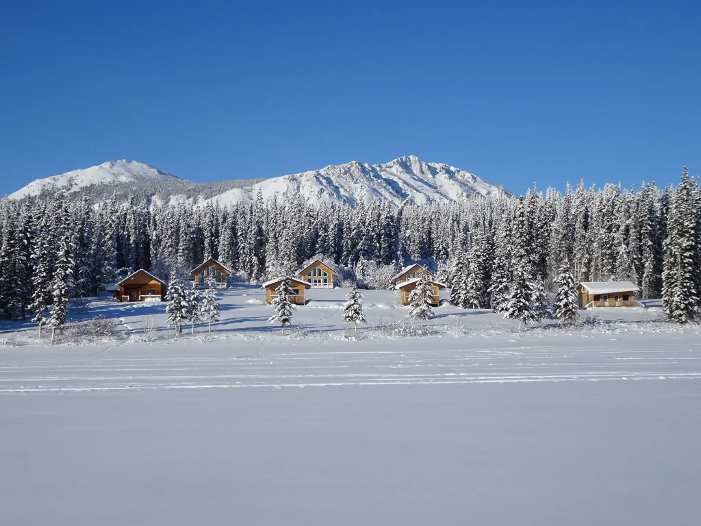 Southern Lakes winter
